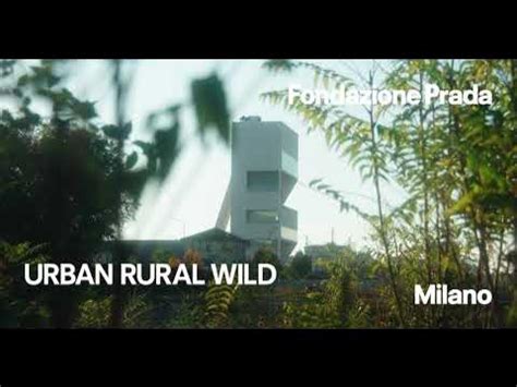 URBAN RURAL WILD – Fondazione Prada